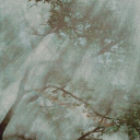 circleofcrows avatar