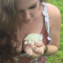 circleofdaisies avatar