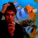 circlesandsnakes-blog avatar