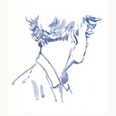 circumambient avatar