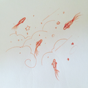 ciren-of-the-sky avatar