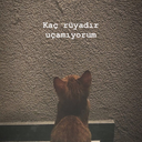 cirkinlerdesever avatar