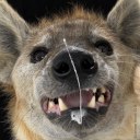 cisternfucker avatar