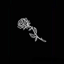 ciszaawniejty-blog avatar