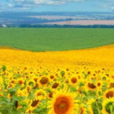 citiesivevisited-blog-blog avatar