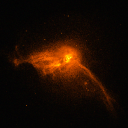 citizen-of-internet avatar