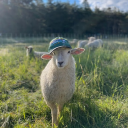 citizens-for-boysenberry-jam avatar