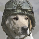 citizensheepdog avatar