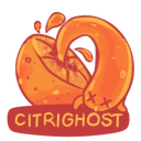 citrighost avatar