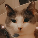 citronnadebleu avatar