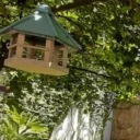 citrus-student avatar