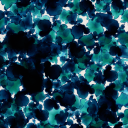 citrusclementine24 avatar