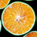 citrustastic avatar