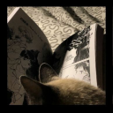 citrusy-lemons avatar