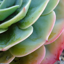 city-lights-like-rain avatar