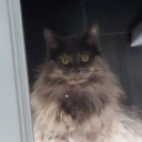 citybythesea1-blog avatar