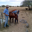 citygonecountry avatar