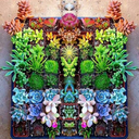 cityinfatuation avatar