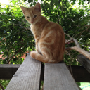 cityofawesomenessness avatar