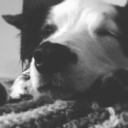 cityofbookishthings avatar