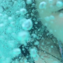 cityofbooks5542 avatar