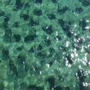 cityofthemoon avatar