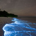 citysands-blog avatar