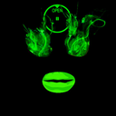 ciudadanocero avatar