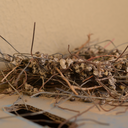 civilianrants avatar