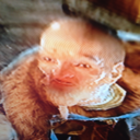 civilized-banjos-blog avatar