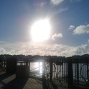 civilizedgurl avatar