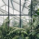 civitatum-corda avatar