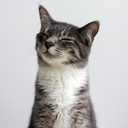 ckalacas-blog avatar