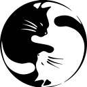 ckdo-mydo20010612 avatar