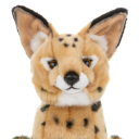 cl0ckworkqueerness avatar