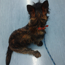 claire-travels avatar