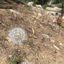 clairebear1621 avatar