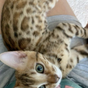 claireisacunt avatar