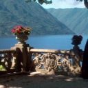 clairelovesanii avatar