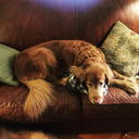 claireonthemoon avatar