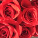 clairvoyantly avatar