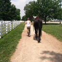 clang-lang-blog avatar