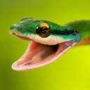 clapclapdarkdark avatar