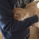 clarasautumnleaf avatar