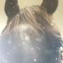 clarechuk avatar