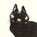 clarekitty avatar