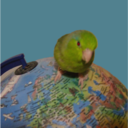 clarenagreenbird avatar