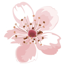 clariisconfused avatar