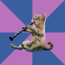 clarinetcat avatar