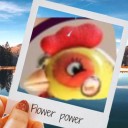 clark1960celebritynews avatar